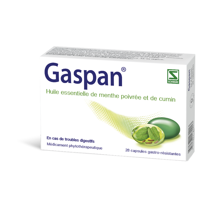 GASPAN caps moll gastro-résistantes 28 pce
