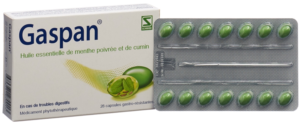 GASPAN caps moll gastro-résistantes 28 pce