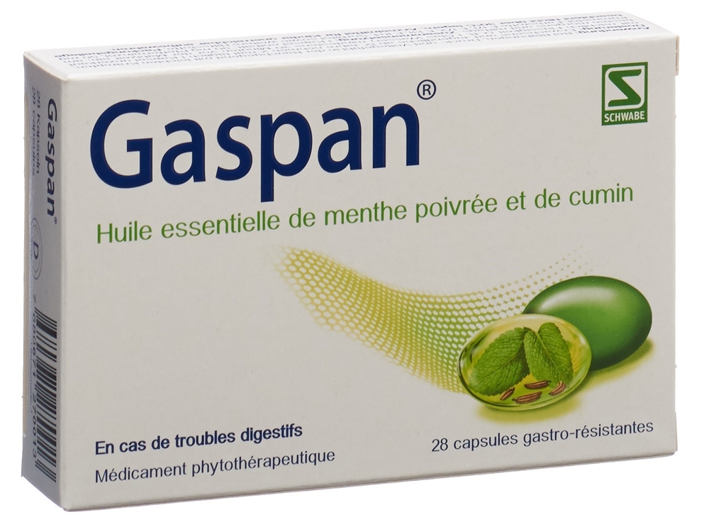 GASPAN caps moll gastro-résistantes 28 pce