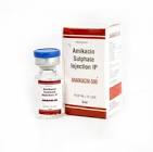 AMIKACIN Ideogen conc perf 1 g/4ml flac 4 ml