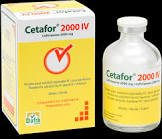 CEFTRIAXON Lagap 2000 mg i.v. / 2000 mg / 1 flacon
