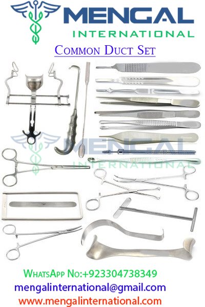 Fitzgibbons-jenkins Common Duct Multipurpose Catheter Set, 1 Set