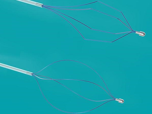 Grasping Forceps, 1 Each