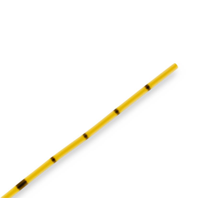 Open-end Ureteral Catheter, 1 Each
