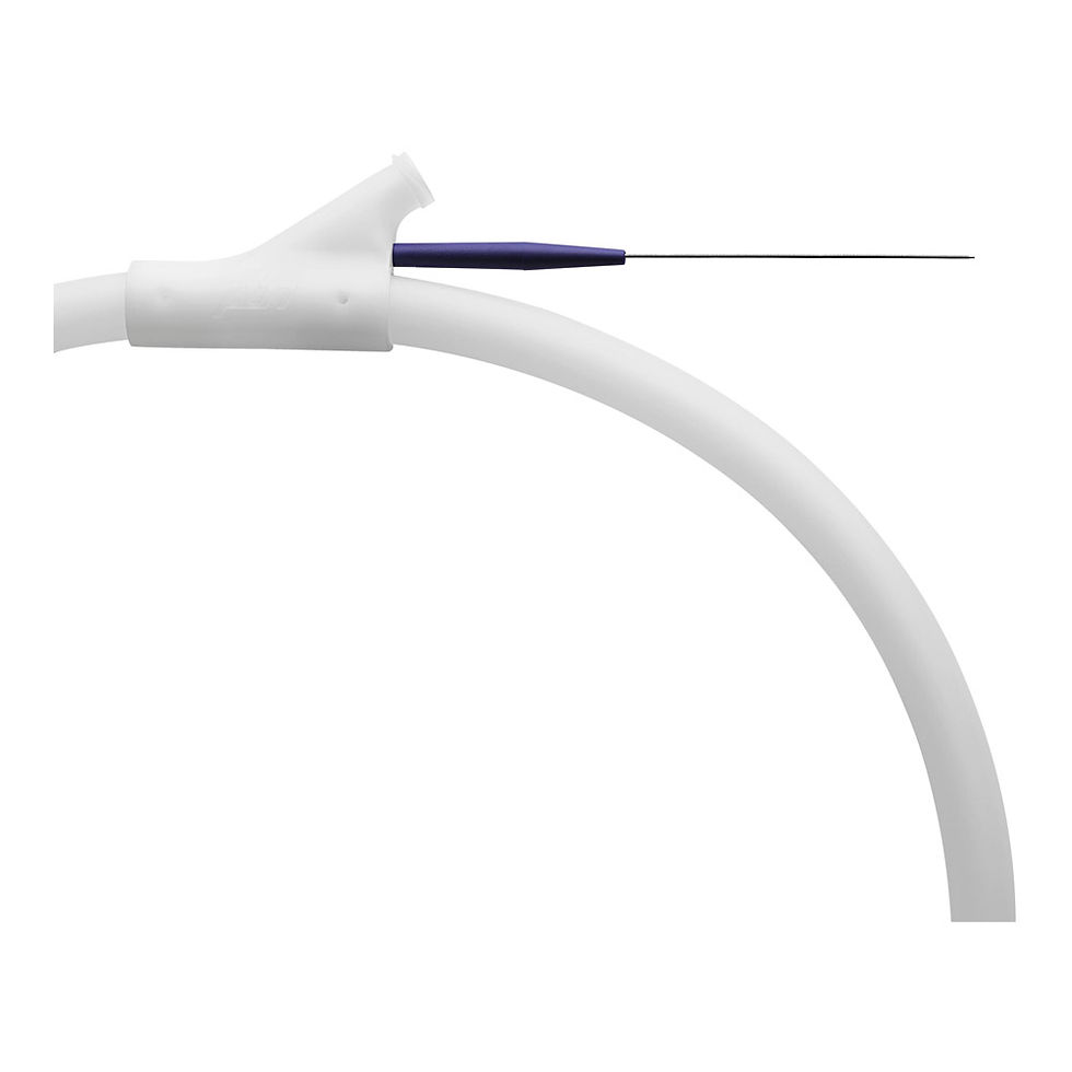 Standard Fixed Core Wire Guide, 1 Each