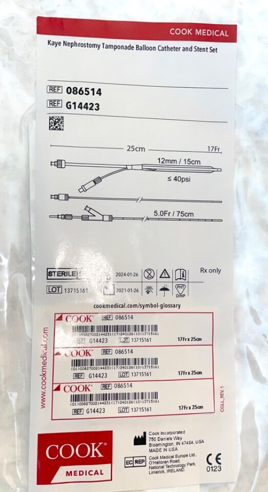 Kaye Nephrostomy Tamponade Balloon Catheter And Stent Set, 1 Set