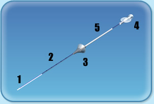 Goldstein Sonohysterography Catheter, 1 Each