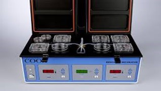 Minc Mini Incubator, 1 Each