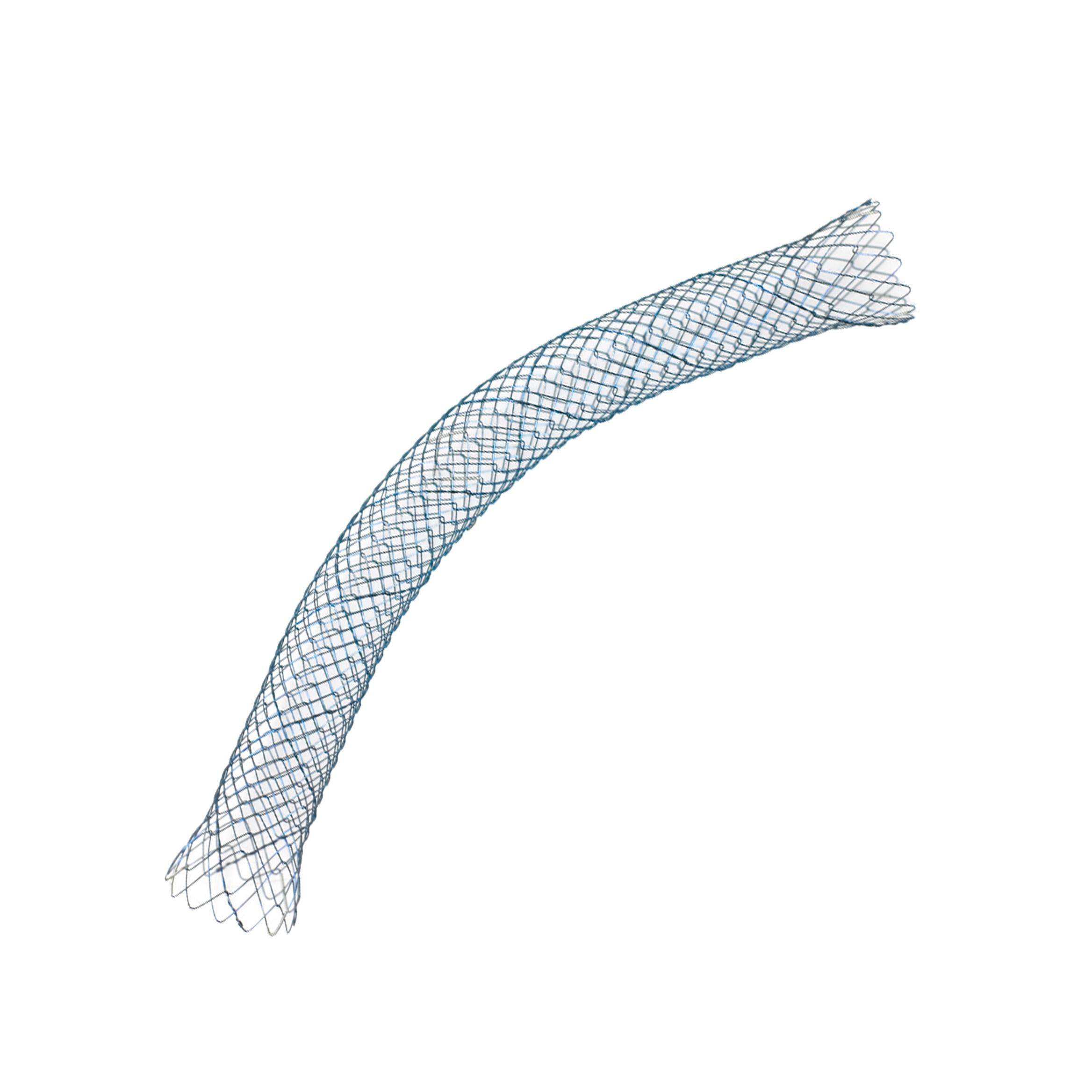 Cotton-huibregtse Biliary Stent Set, 1 Set