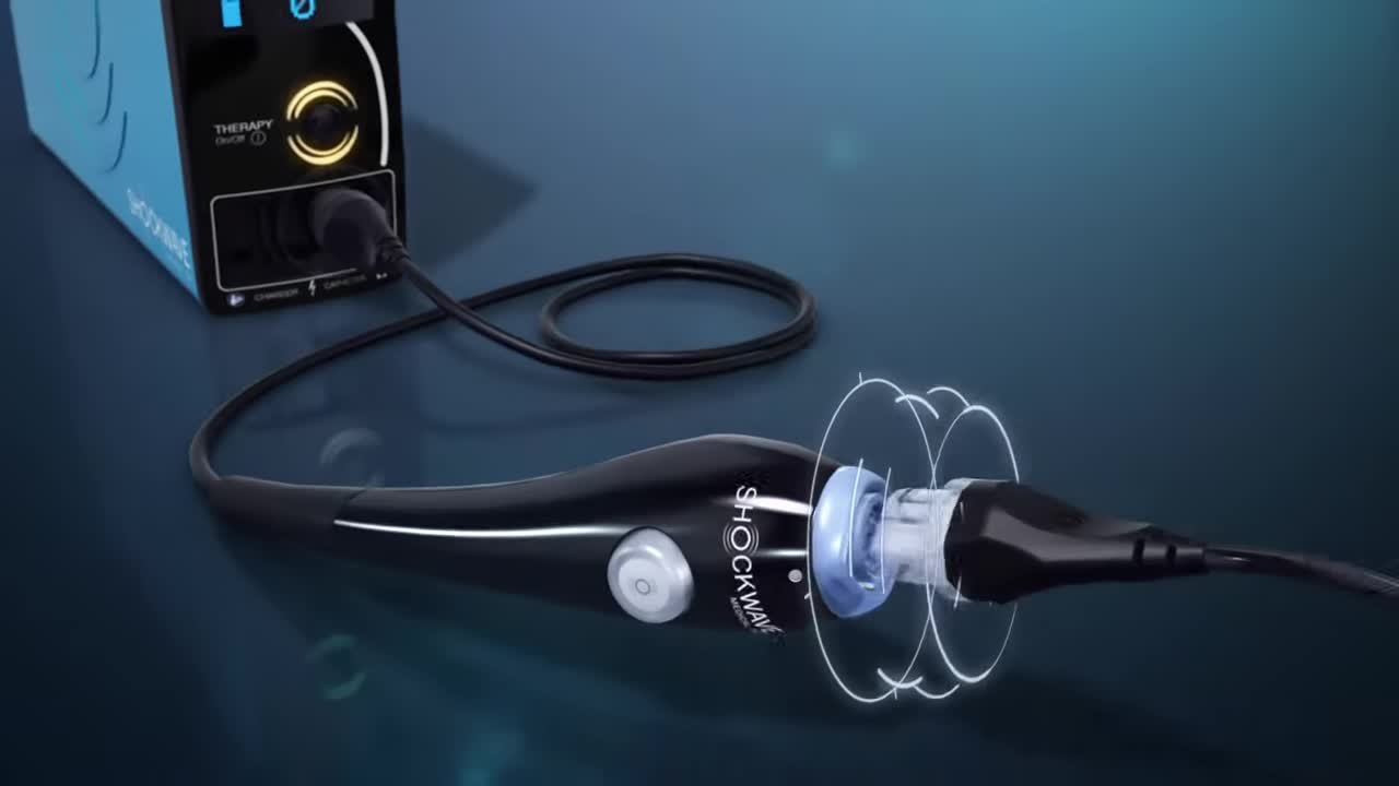 Soehendra Lithotripsy Cable, 1 Each