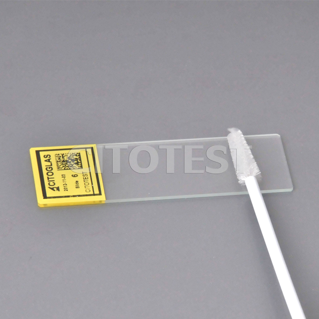 Colonoscope Cytology Brush, Box of 10