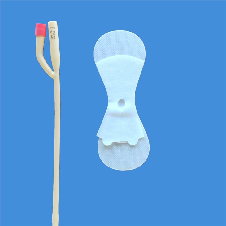 Soehendra Universal Catheter, 1 Each