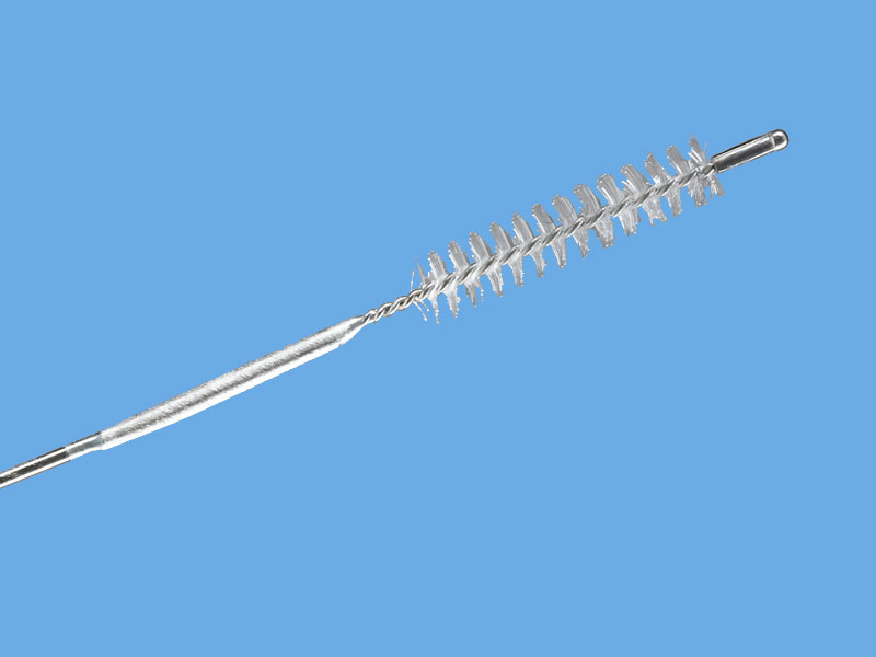 Savary Cleaning Brush, 1 Each