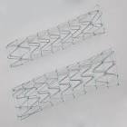 Zenith Dissection Endovascular Stent Stent, 1 Each