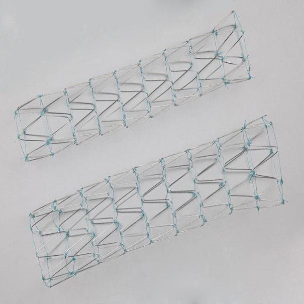 Zenith Dissection Endovascular Stent Stent, 1 Each