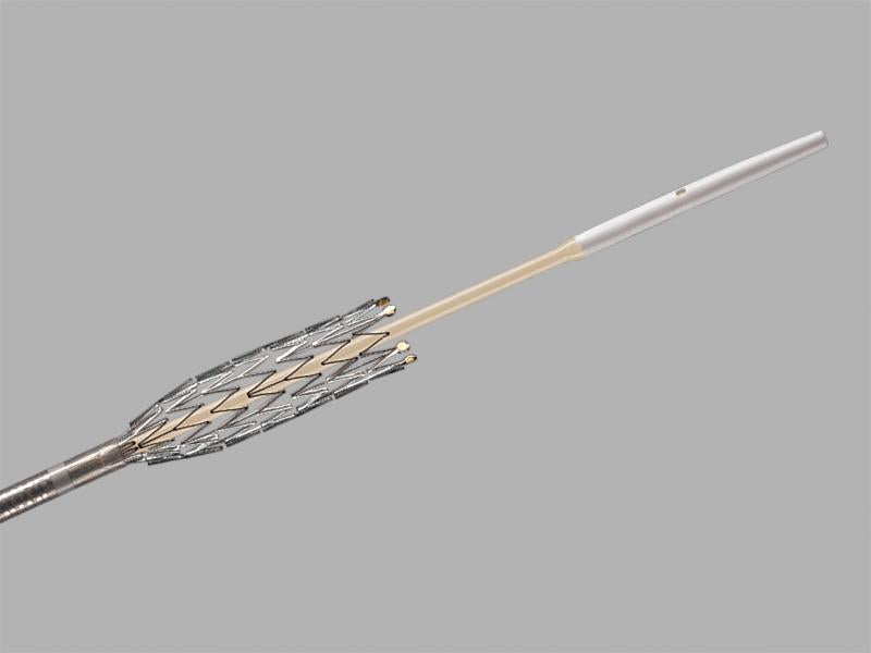 Zilver 635 Biliary Self Expanding Metal Stent, 1 Each