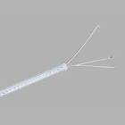 Caesar Grasping Forceps, 1 Each