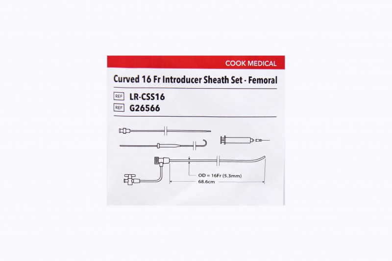 Lead Extraction Curved Inner Femoral Sheath, 1 Each