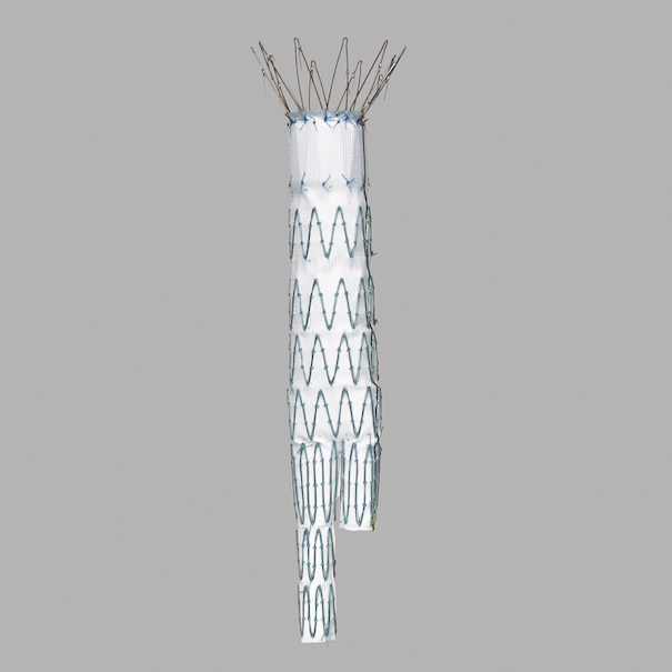 Zenith Aaa Endovascular Graft Aaa Ancillary Component Main Body Extension, 1 Each