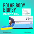 Polar Body Biopsy Pipette, 1 Each