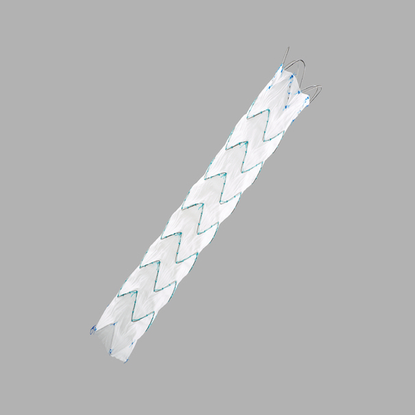 Zenith Tx2 Taa Endovascular Graft Proximal Component, 1 Each