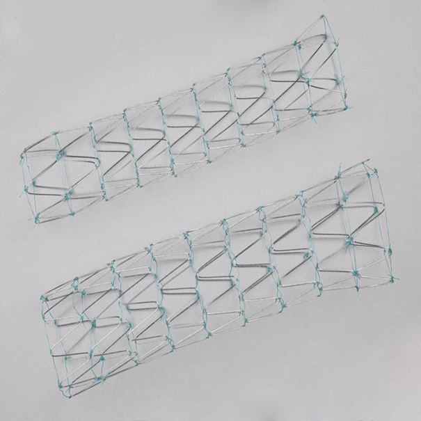 Zenith® Dissection Endovascular Stent, 1 Each