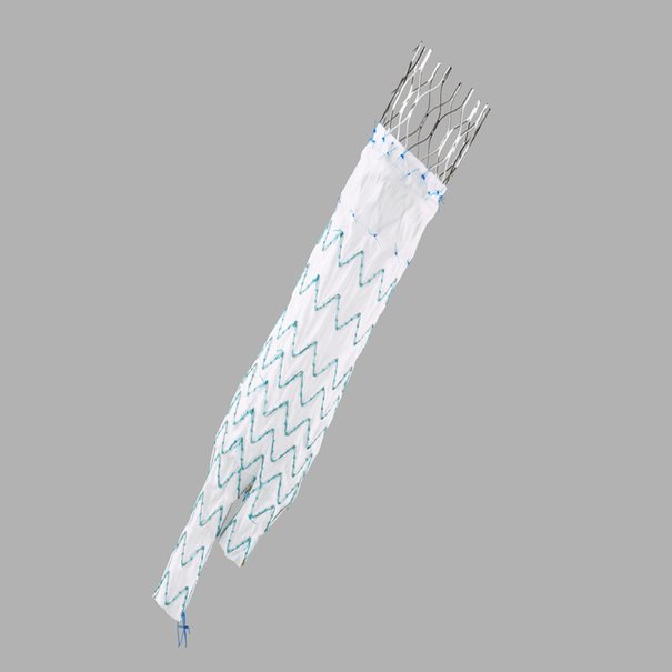 Zenith Alpha Abdominal Endovascular Graft, 1 Each