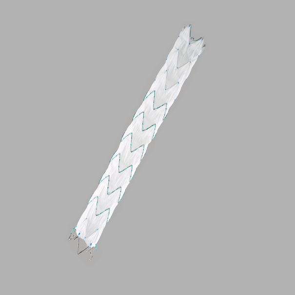 Zenith Alpha™ Thoracic Endovascular Graft Distal Components, 1 Each