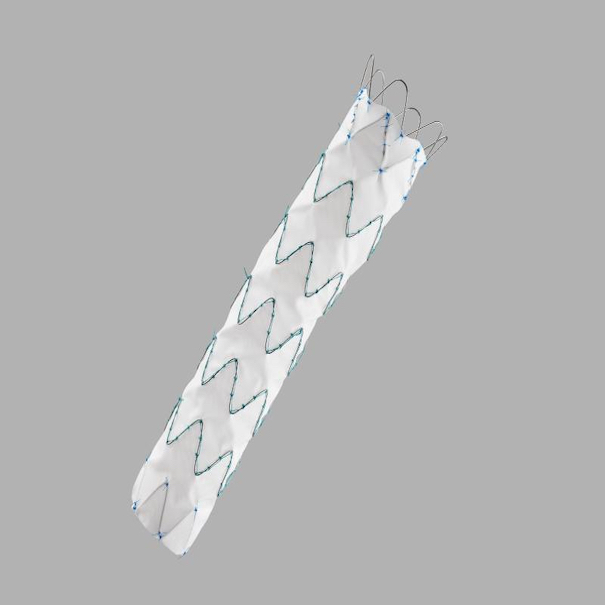 Zenith Alpha™ Thoracic Endovascular Graft Proximal Tapered Components, 1 Each