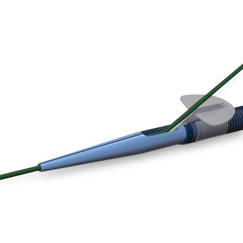 Flexor Parallel Ureteral Access Sheath And Dilators, 1 Each