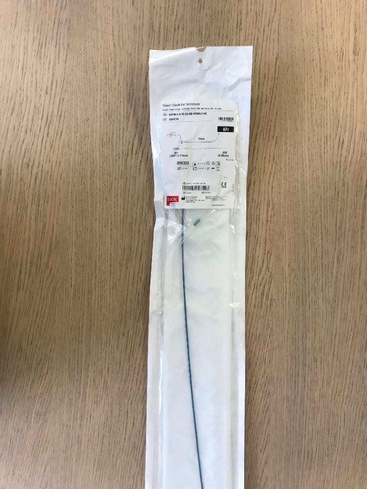 Flexor Check-flo Introducer With High Flex Dilator, 1 Each