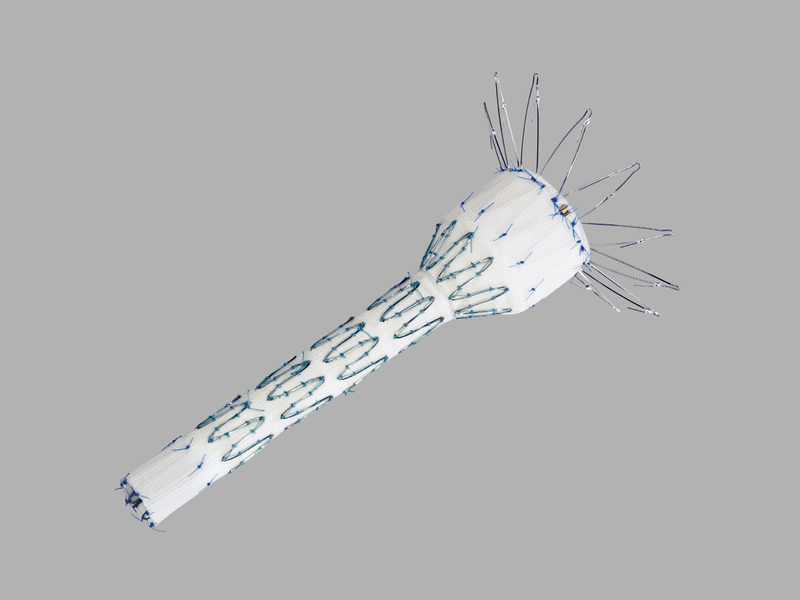 Zenith Renu Aaa Ancillary Graft Converter, 1 Each