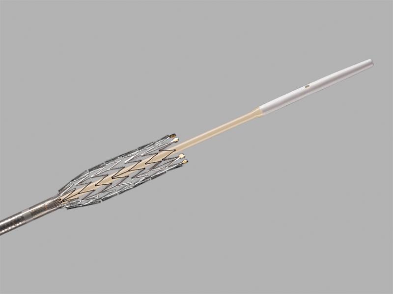 Zilver 635 Self-expanding Biliary Stent, 1 Each
