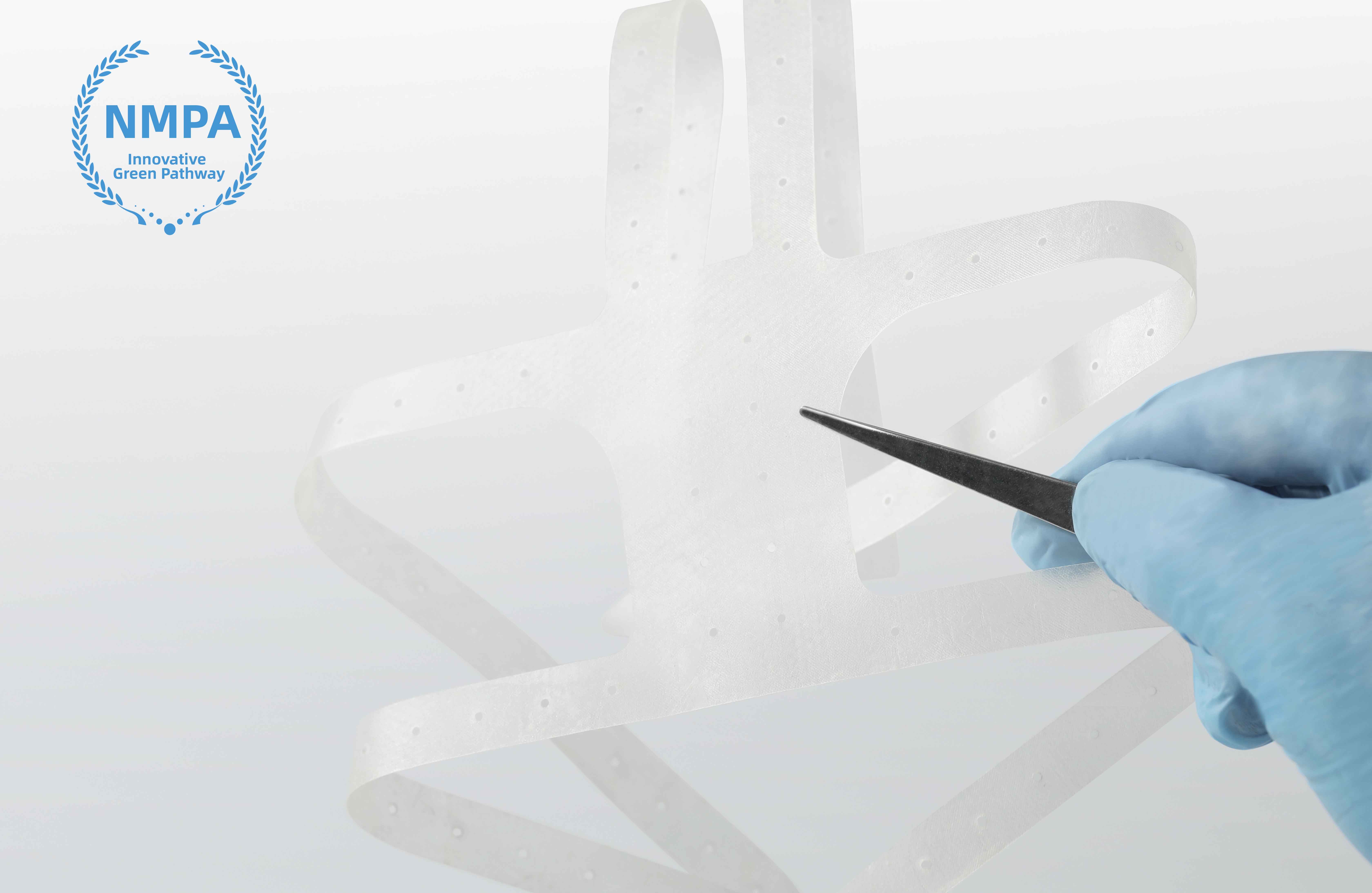 Biodesign Posterior Pelvic Floor Graft, 1 Each