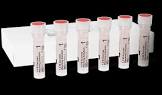 Sydney Ivf Blastocyst Warming Kit, 1 Kit