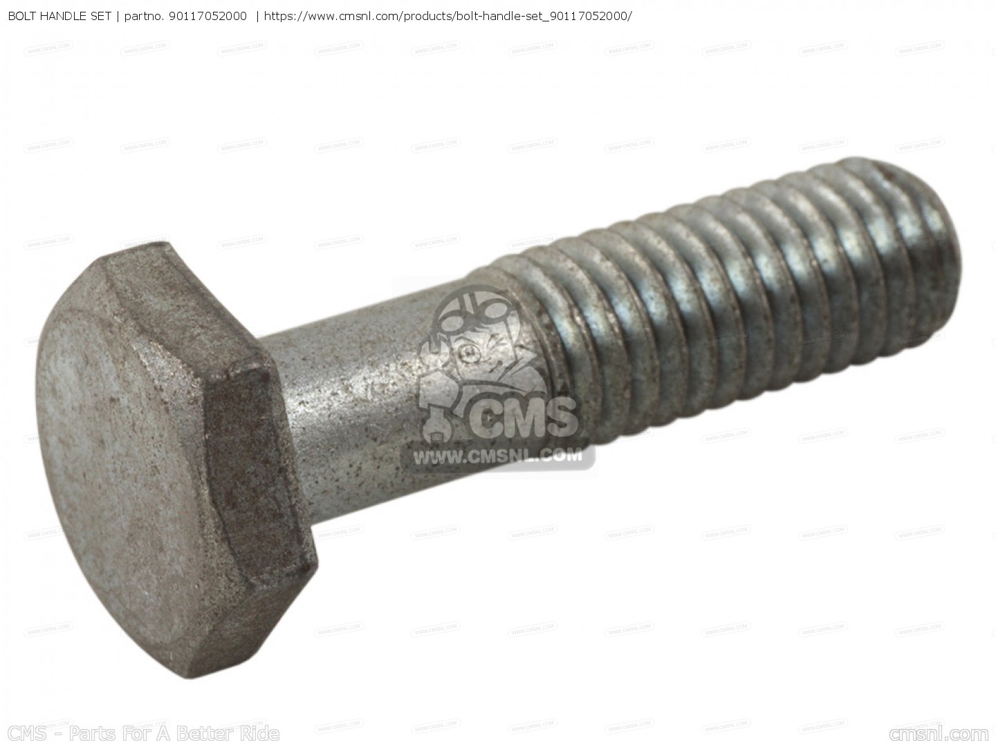 Murdoch Bolt & Handle Set, 1 Set
