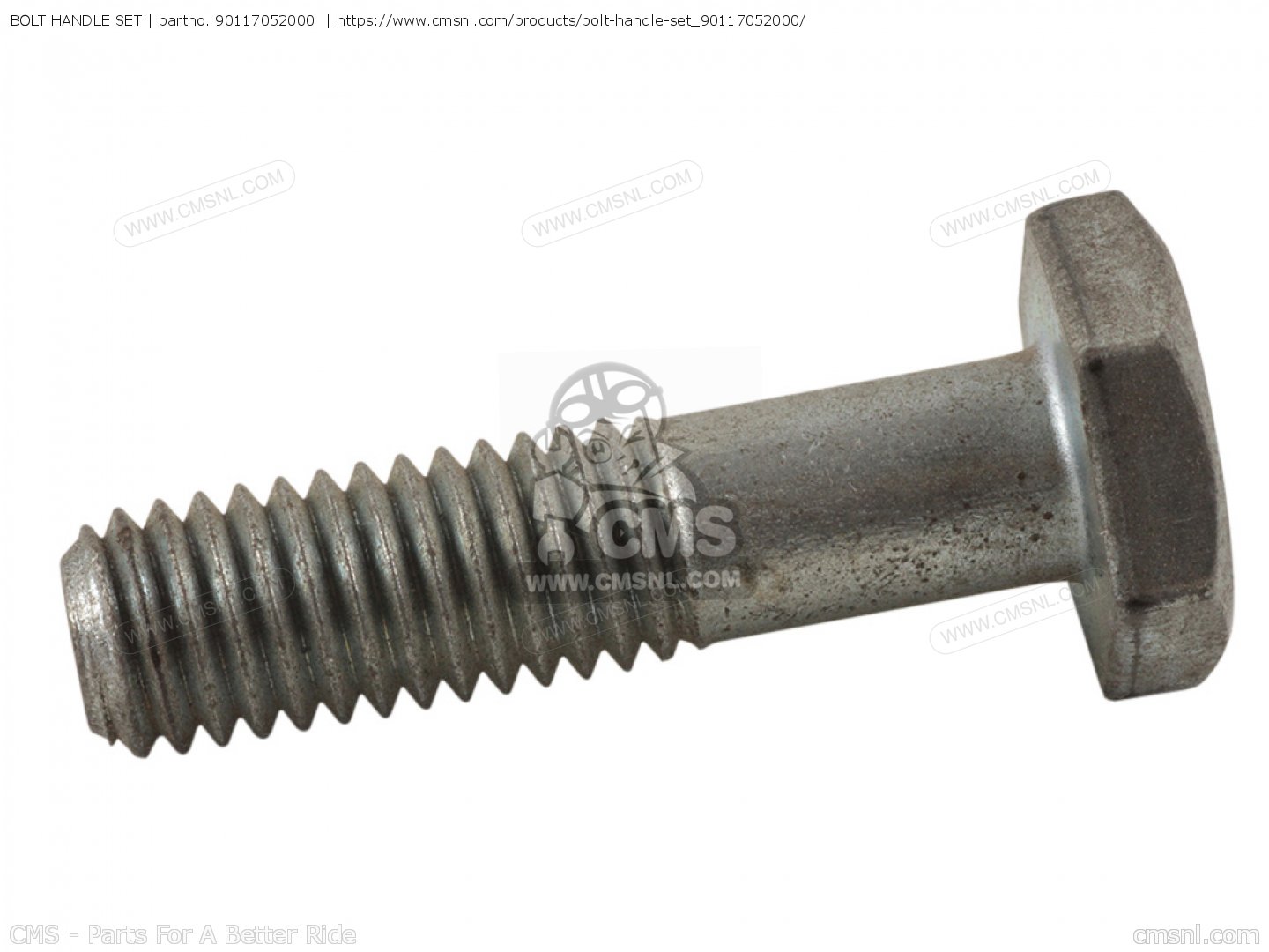 Murdoch Bolt & Handle Set, 1 Set