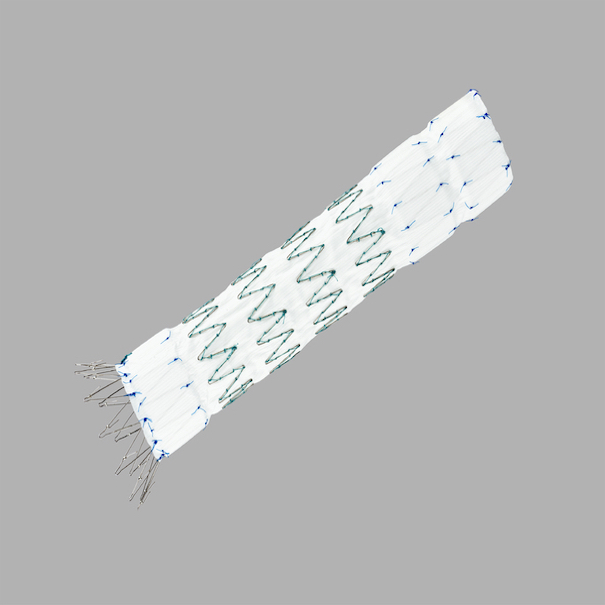 Zenith Tx2 Taa Endovascular Graft Taa Ancillary Componet Distal Extension, 1 Each