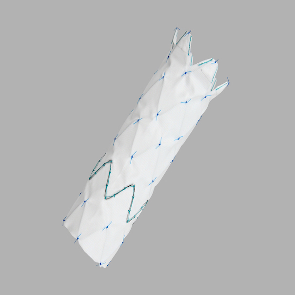Zenith Tx2 Taa Endovascular Graft Taa Ancillary Componet Distal Extension, 1 Each