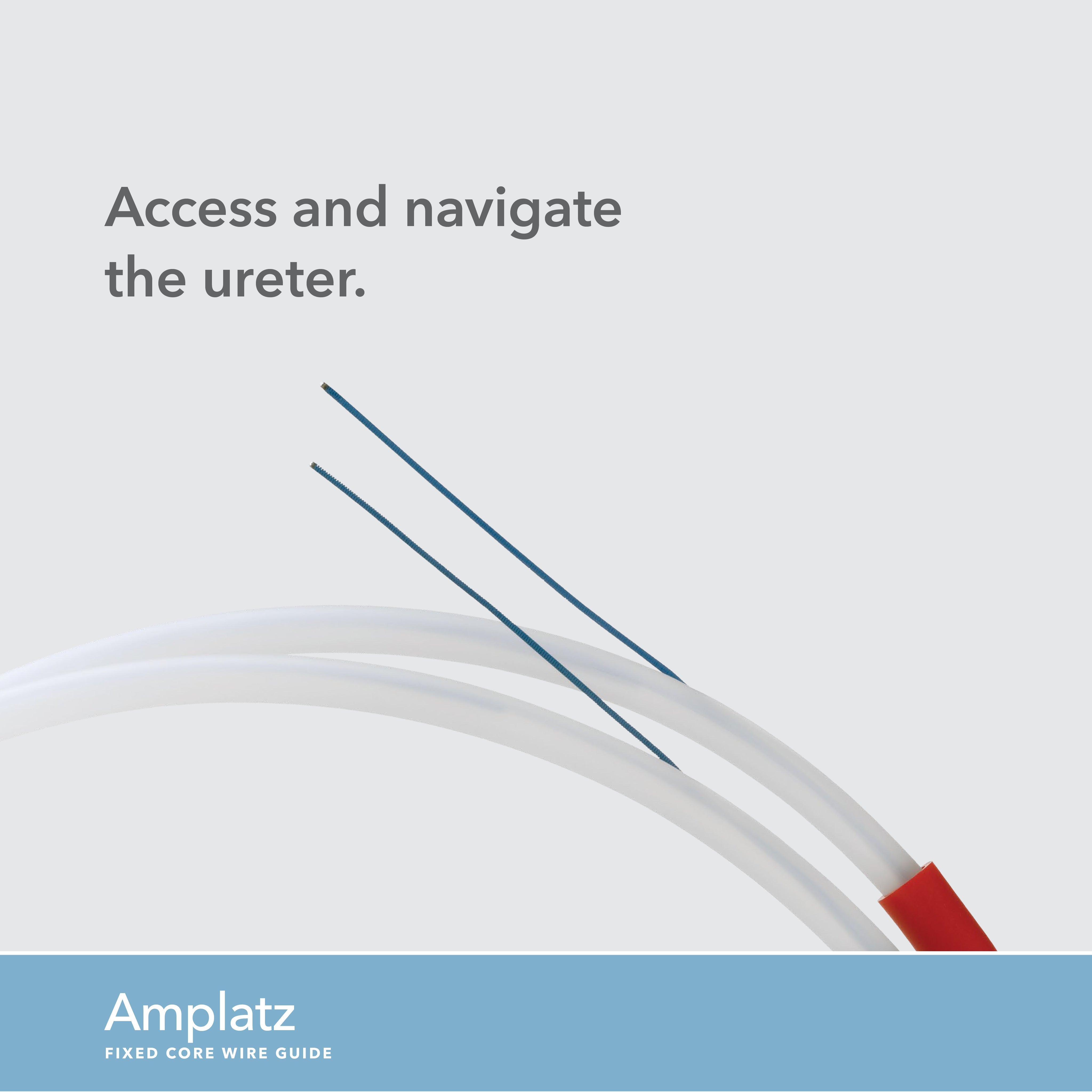 Amplatz Fixed Core Wire Guide, 1 Each