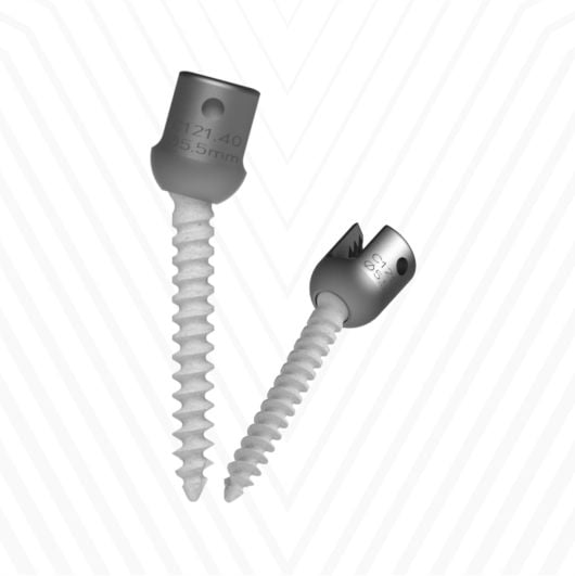 SCREW 7221640 HA COATED CANN 6.5 X 40