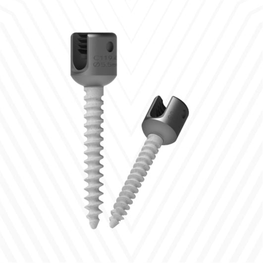 SCREW 7221655 HA COATED CANN 6.5 X 55