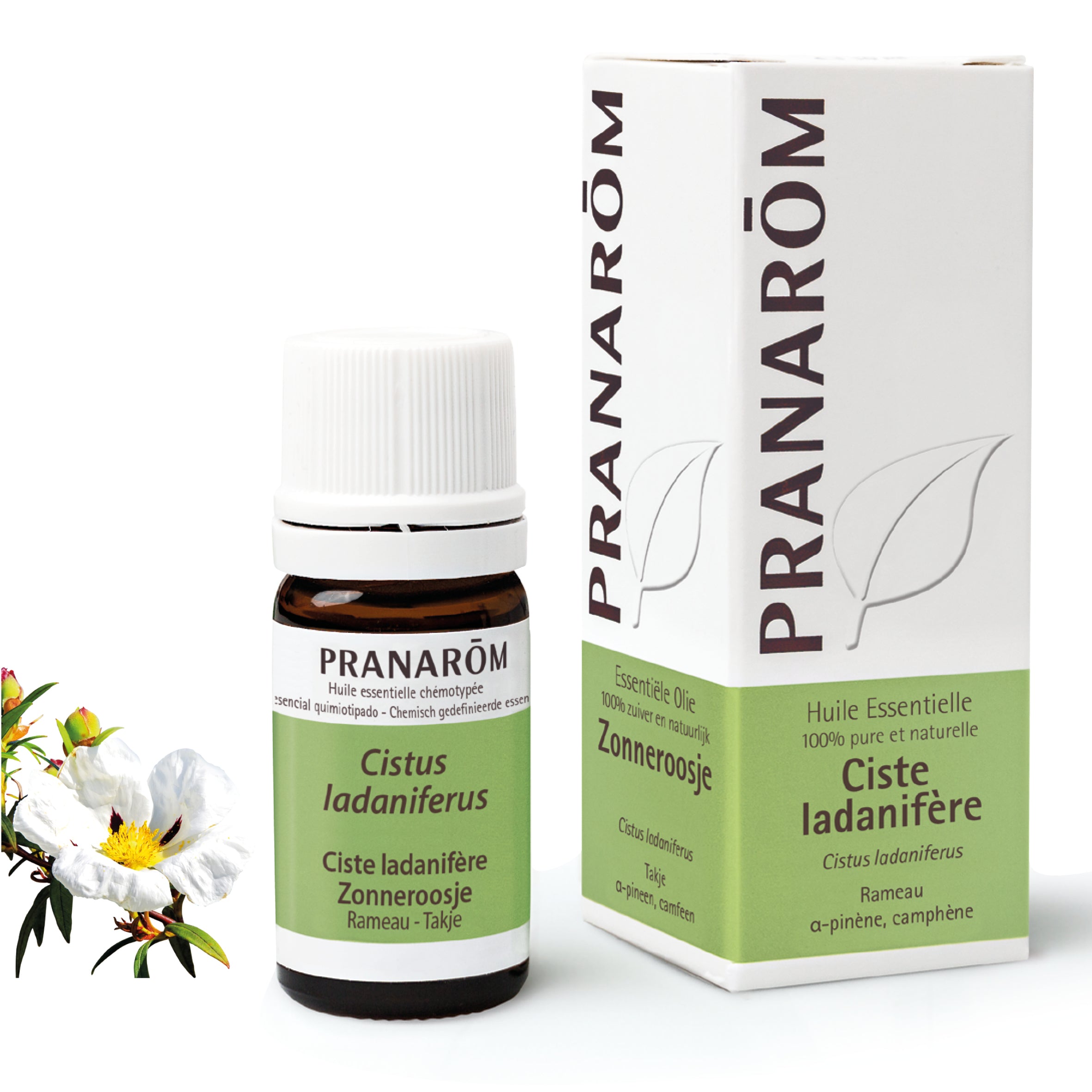 PRANAROM Ciste ladanifère rameau huil ess BIO 5 ml