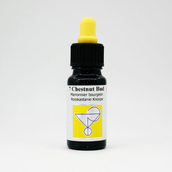 ODIN 07 Chestnut Bud (Bourgeon de marronnier) fleur de Bach 10 ml