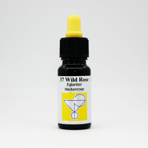 ODIN 37 Wild Rose (Eglantier) fleur de Bach 10 ml