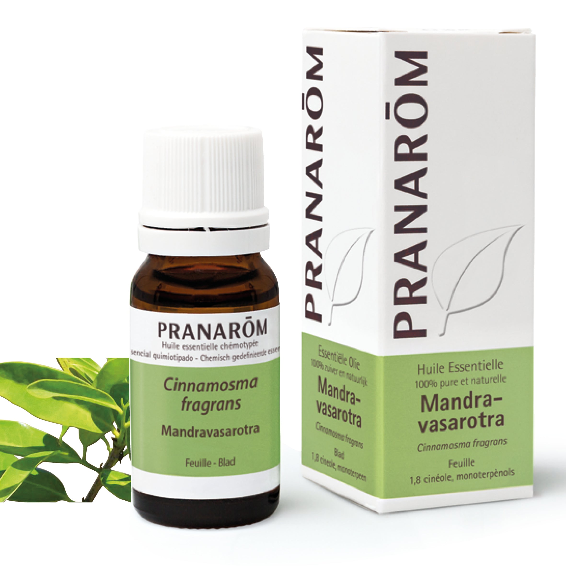 PRANAROM Huile Essentielle de Mandravasarotra 10 ml
