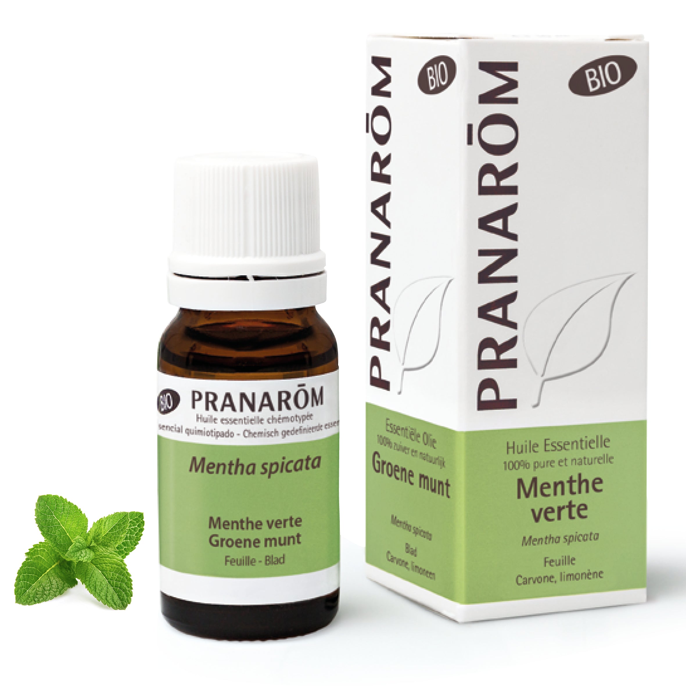 PRANAROM Huile Essentielle de Menthe verte - Bio 10 ml