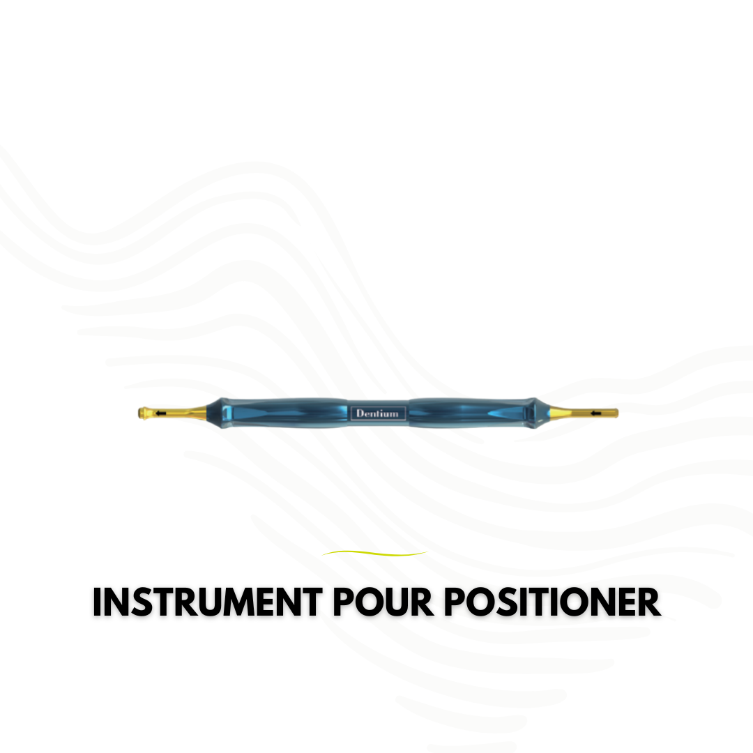 INSTRUMENT 8114545 IMPL POSITIONER L4.5