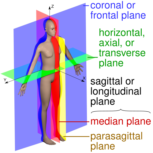BENDER 7756198R CORONAL PLANE RIGHT