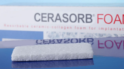 BONE SUBSTITUTE C02B KYPHOS FS CAP